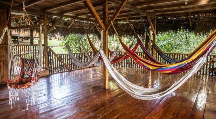 Caiman Lodge - Cuyabeno Nature Amazon Tour Luaran gambar