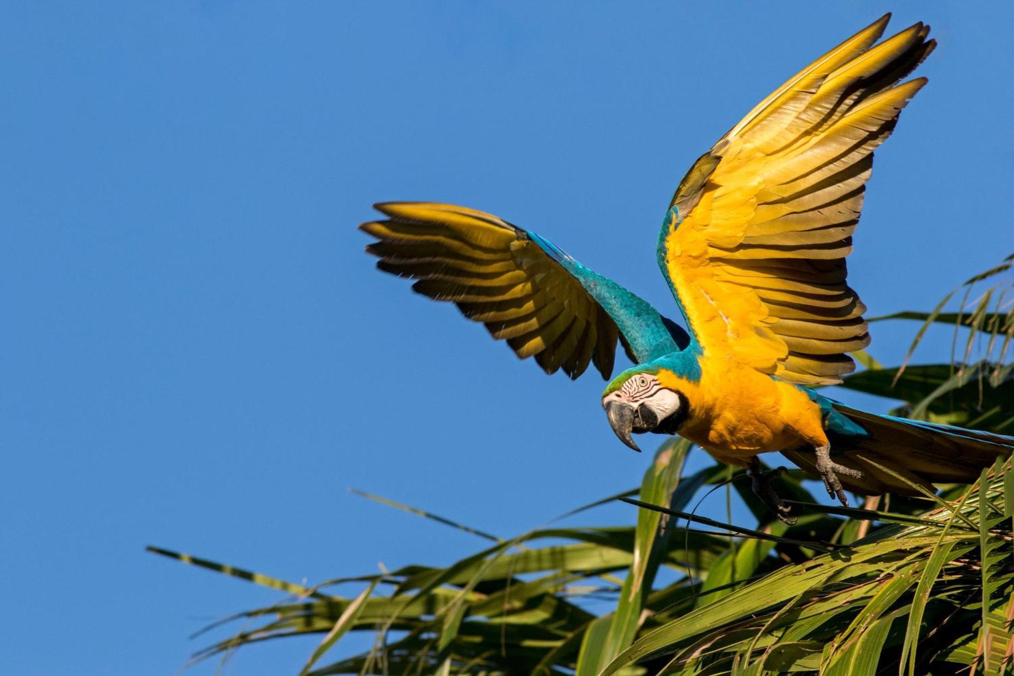 Caiman Lodge - Cuyabeno Nature Amazon Tour Luaran gambar