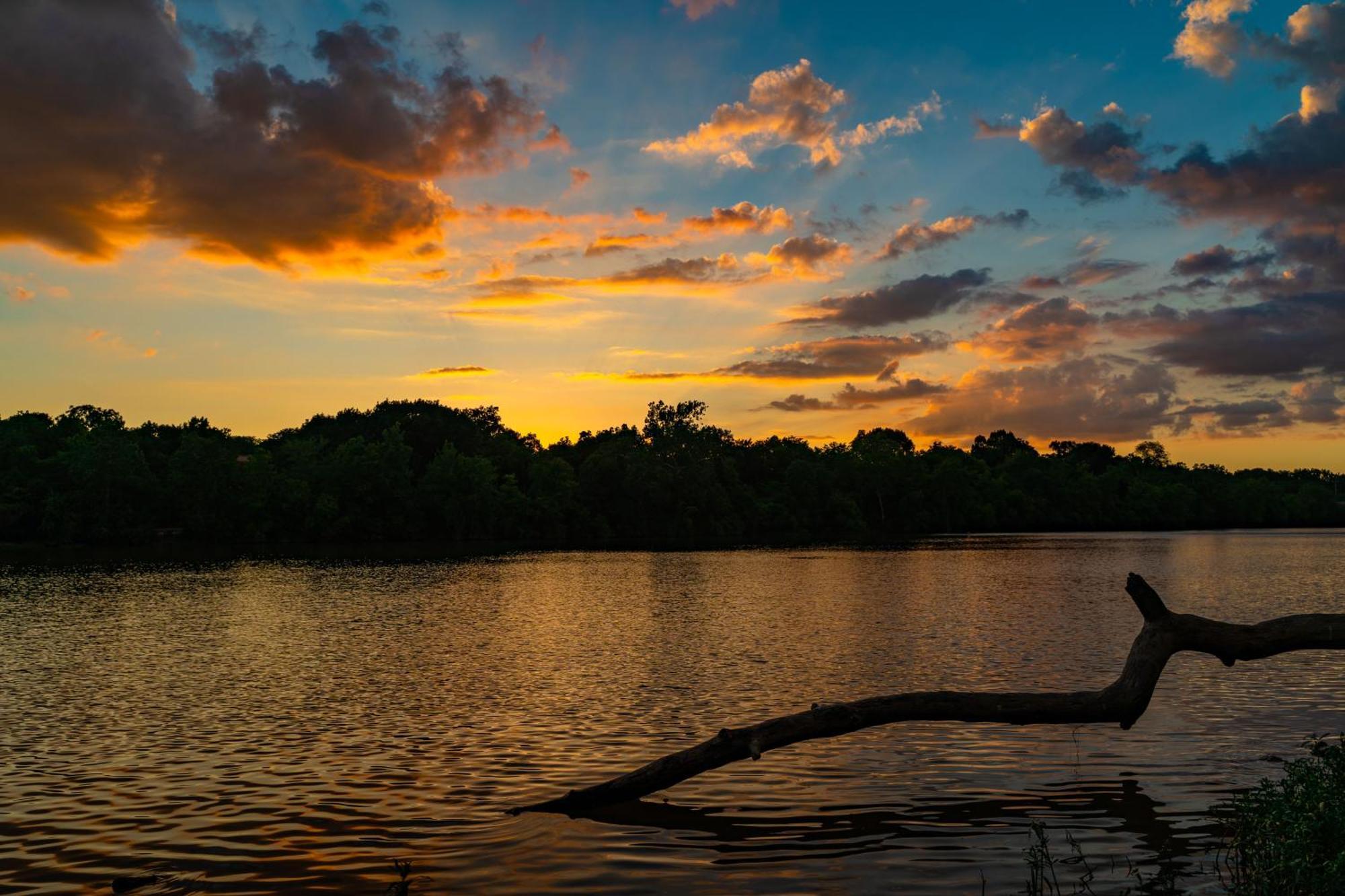 Caiman Lodge - Cuyabeno Nature Amazon Tour Luaran gambar