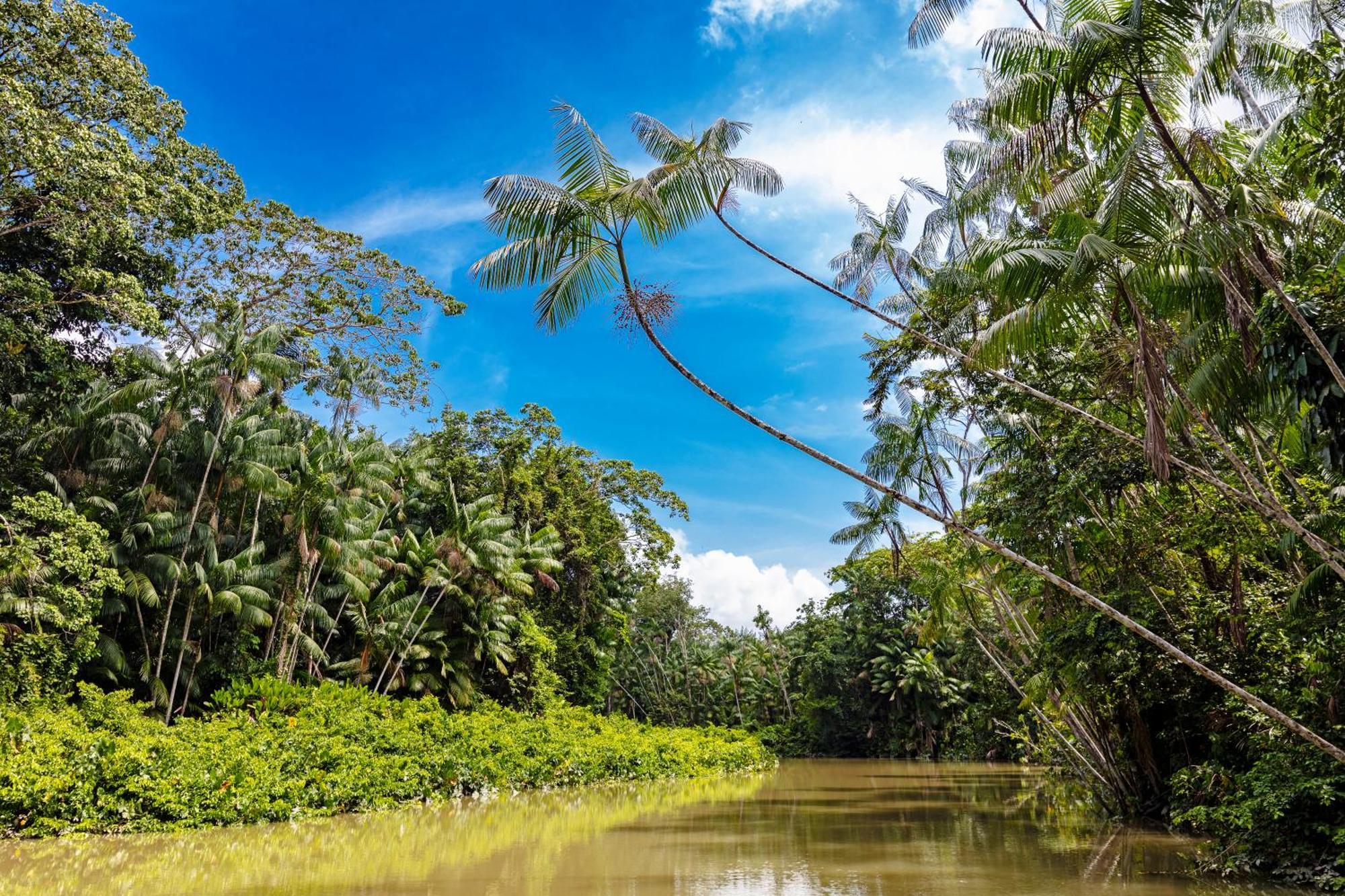 Caiman Lodge - Cuyabeno Nature Amazon Tour Luaran gambar