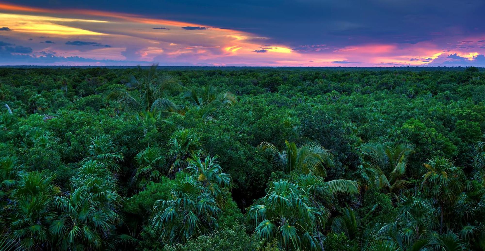 Caiman Lodge - Cuyabeno Nature Amazon Tour Luaran gambar